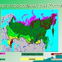  ,  , 63  -  11  2019    