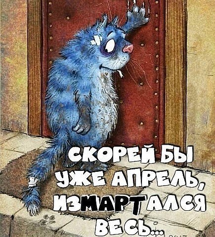 .. стоит ли волноваться, если у начальника последний запрос в гугле это - "страны, где тепло и ...