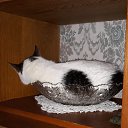  Serzh Van Der Maaremaan,  -  28  2019    