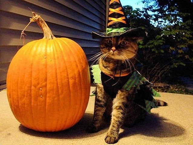 Happy Halloween!