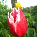 ���� ��������, ����������, 60 ��� - ��������� 8 ���� 2019 � ������ ���� ����������