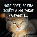  ,  -  15  2019    