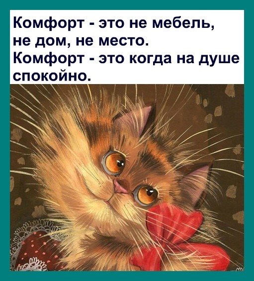 ☆ ☆ - 22  2019  03:38