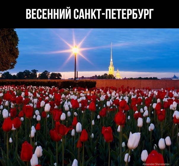    ! - 27  2019  18:31