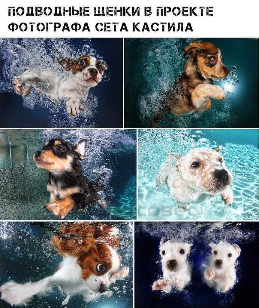 ,       ,    !?