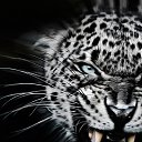 ���� �����, ����������, 54 ���� - ��������� 28 ������ 2019 � ������ ���� ����������