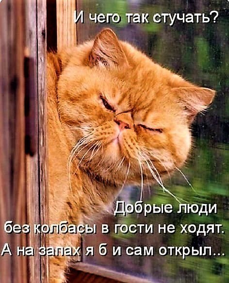   ,  !)