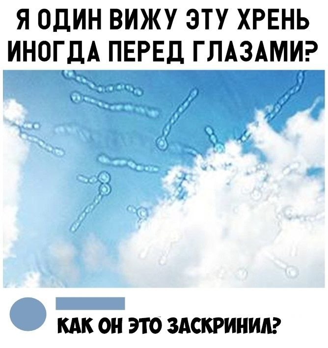    :D - 14  2019  01:59
