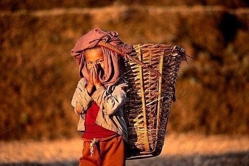 Люди часто бывают глупы и упрямы, эгоцентричны и нелогичны. Все равно прощай их. Если ты добр, люди ...