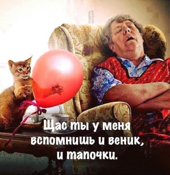   - 11  2019  06:53