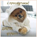 ���� ����, �������, 51 ��� - ��������� 16 ������� 2019 � ������ ���� ����������