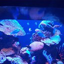 ���� ��������, ��������, 54 ���� - ��������� 5 ������� 2019 � ������ ���� ����������