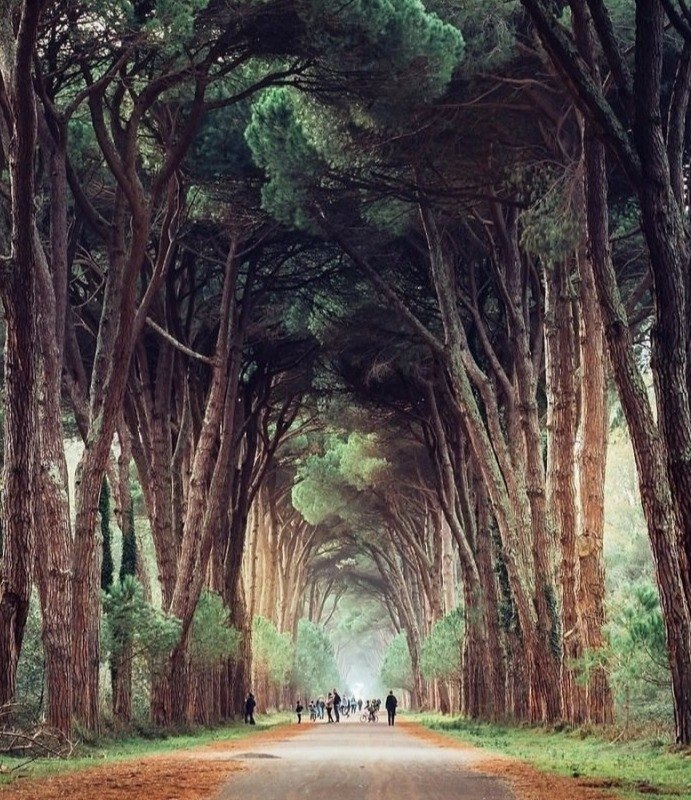 Italy