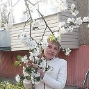 ���� ������, ��������, 53 ���� - ��������� 30 ������ 2019 � ������ ���� ����������