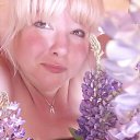 ���� �������, ������, 50 ��� - ��������� 8 ���� 2019 � ������ ���� ����������