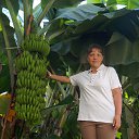 ���� �����, �������� - ��������� 17 ������� 2019 � ������ ���� ����������