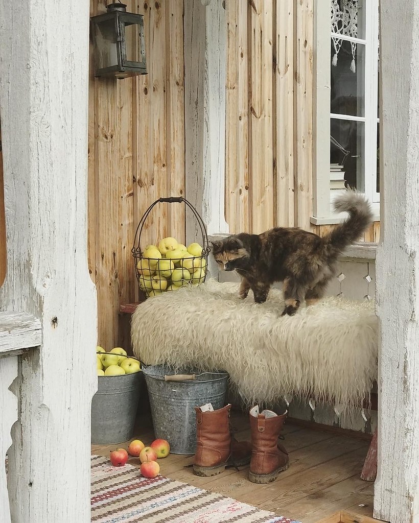 o  oe.oe  o ee  ao oe? - 2