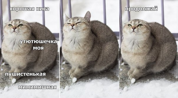    - 7  2019  19:04