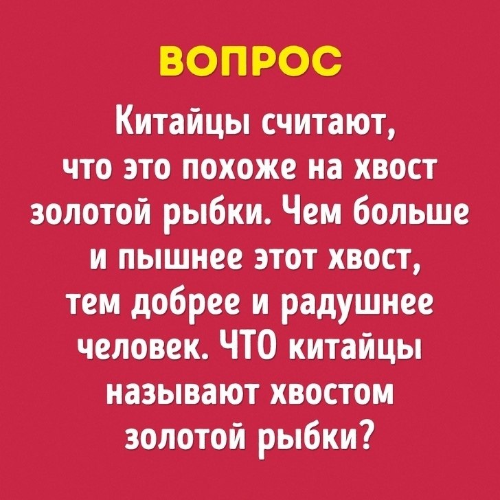  ,  ,   ,     - 8