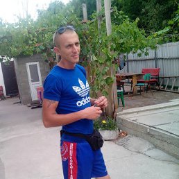 Valentin, �����������, 41 ���