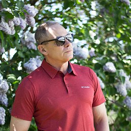 ����, ������� ��������, 62 ����