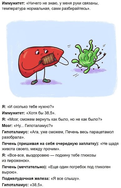 Bpaч c юмopoм paccкaзaл, кaк paбoтaeт нaш иммyнитeт - 6