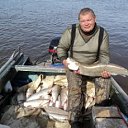 ���� �������, �����-��������, 53 ���� - ��������� 2 ������� 2019 � ������ ���� ����������