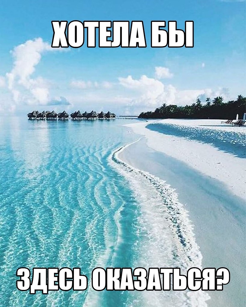   - 4  2019  03:46