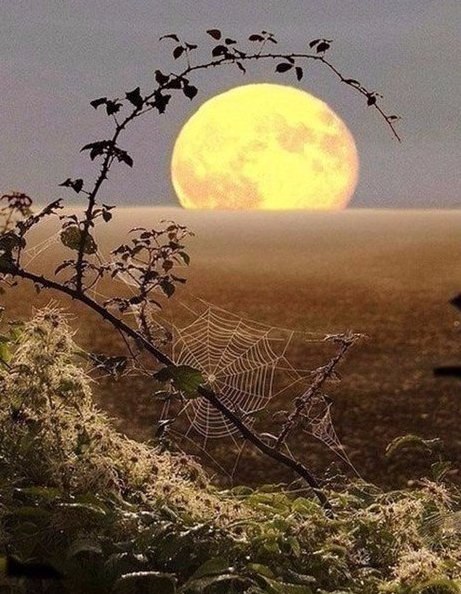 a o o e e , o a o o oo e c, ooe acea e ... - 6
