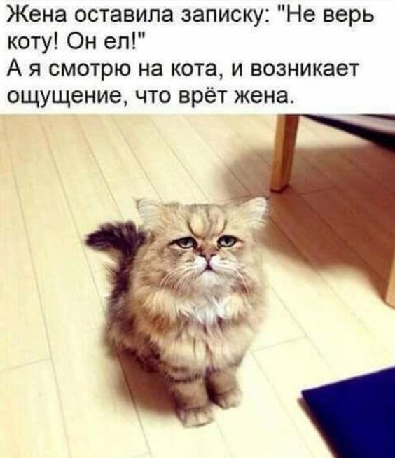 ✿ܓ☘ ������ ☕ ◕‿◕ ☕ ��������.☘ ✿ܓ - 4 ������� 2019 � 19:13