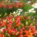 ���� �������, ������, 68 ��� - ��������� 17 ���� 2019 � ������ �2019�