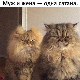����, ������, 50 ���