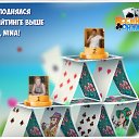  Vasyl,  -  14  2019    -