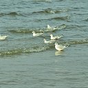 ���� Zhorzh, ����, 66 ��� - ��������� 26 ��� 2019 � ������ ������ ��������