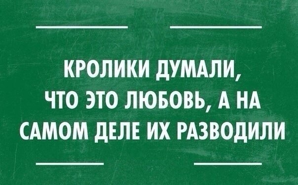      ,        ...