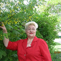 �������, ������, 69 ���