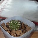 ���� ������ �������������, ������, 53 ���� - ��������� 17 ���� 2019 � ������ �������