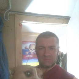 ���� ������, ������, 38 ��� - ��������� 24 ������� 2019