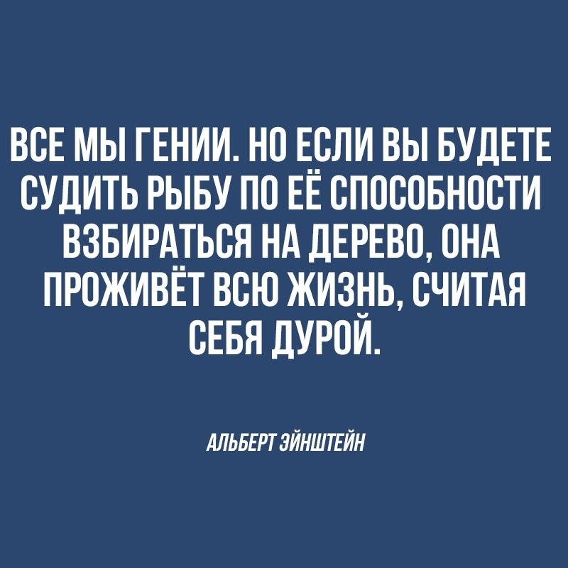    - 24  2019  03:44