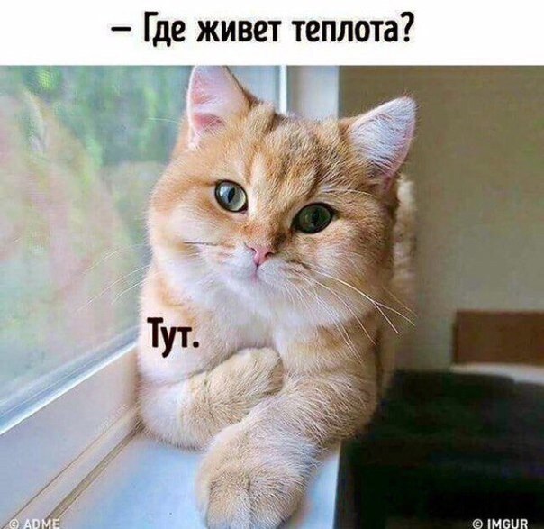    - 1  2019  03:28
