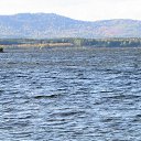  , , 68  -  22  2019    2019