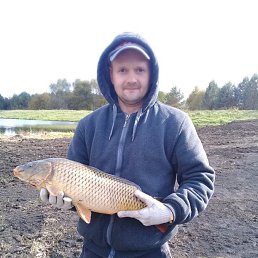 ����, ���������, 39 ���