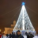 ���� �������, ��������, 54 ���� - ��������� 24 ���� 2019