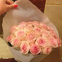 ����������� ���������� � ������, ����� ������#EGYPT �� ������� ���� ����������