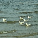 ���� Zhorzh, ����, 66 ��� - ��������� 26 ��� 2019 � ������ ������ ��������