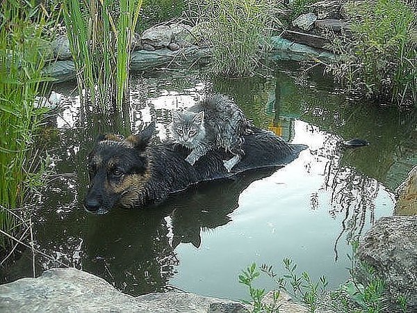 Инoгда помощь приходит оттуда, откуда ee coвсем не ждешь