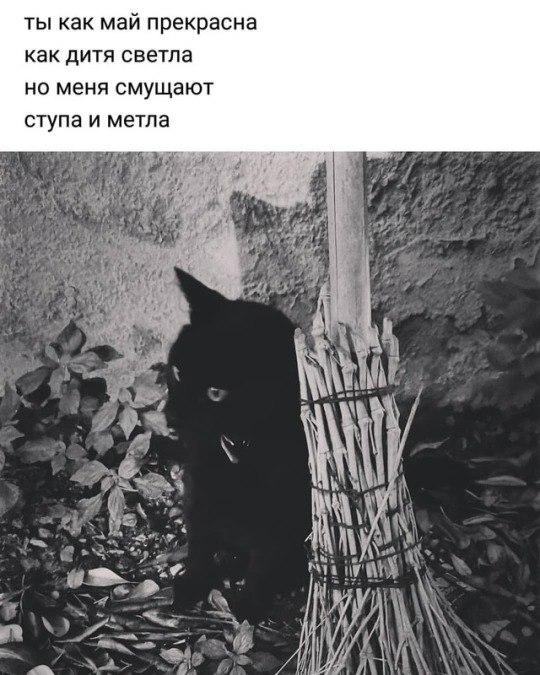 маги шутят.Закинул старик невод в синее море и вытащил оттуда море.— Отпусти меня старче, — ...