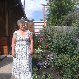 ������, ����������, 74 ����