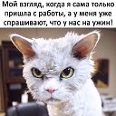 ���� �������, ���������, 66 ��� - ��������� 9 ������ 2019 � ������ ���� ����������