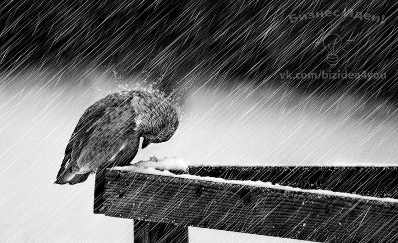    ,   .   ,   .   ,  ...